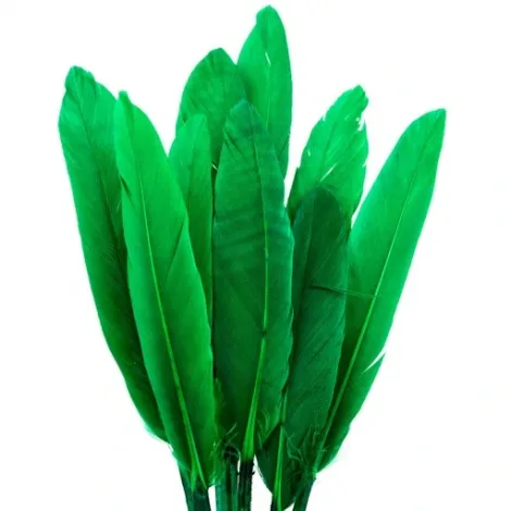 Piórka lotki Czakos 17cm, Zielone - 2